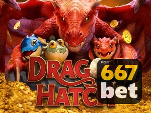 667BET PIX instantâneo Brasil - Depósito e saque em minutos 24/7